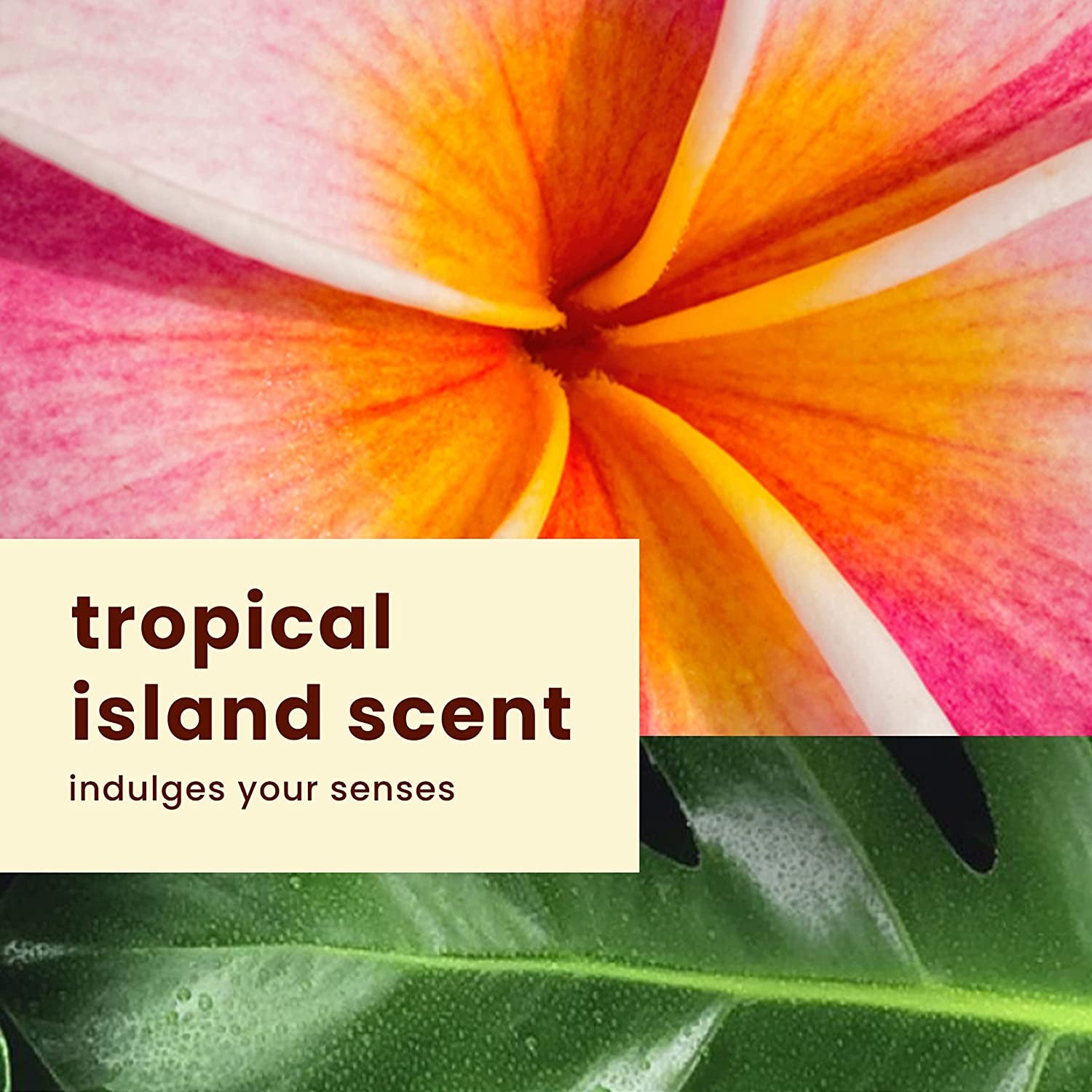 "Radiant Glow Hawaiian Tropic Sheer Touch Sunscreen SPF 30 - 8oz"